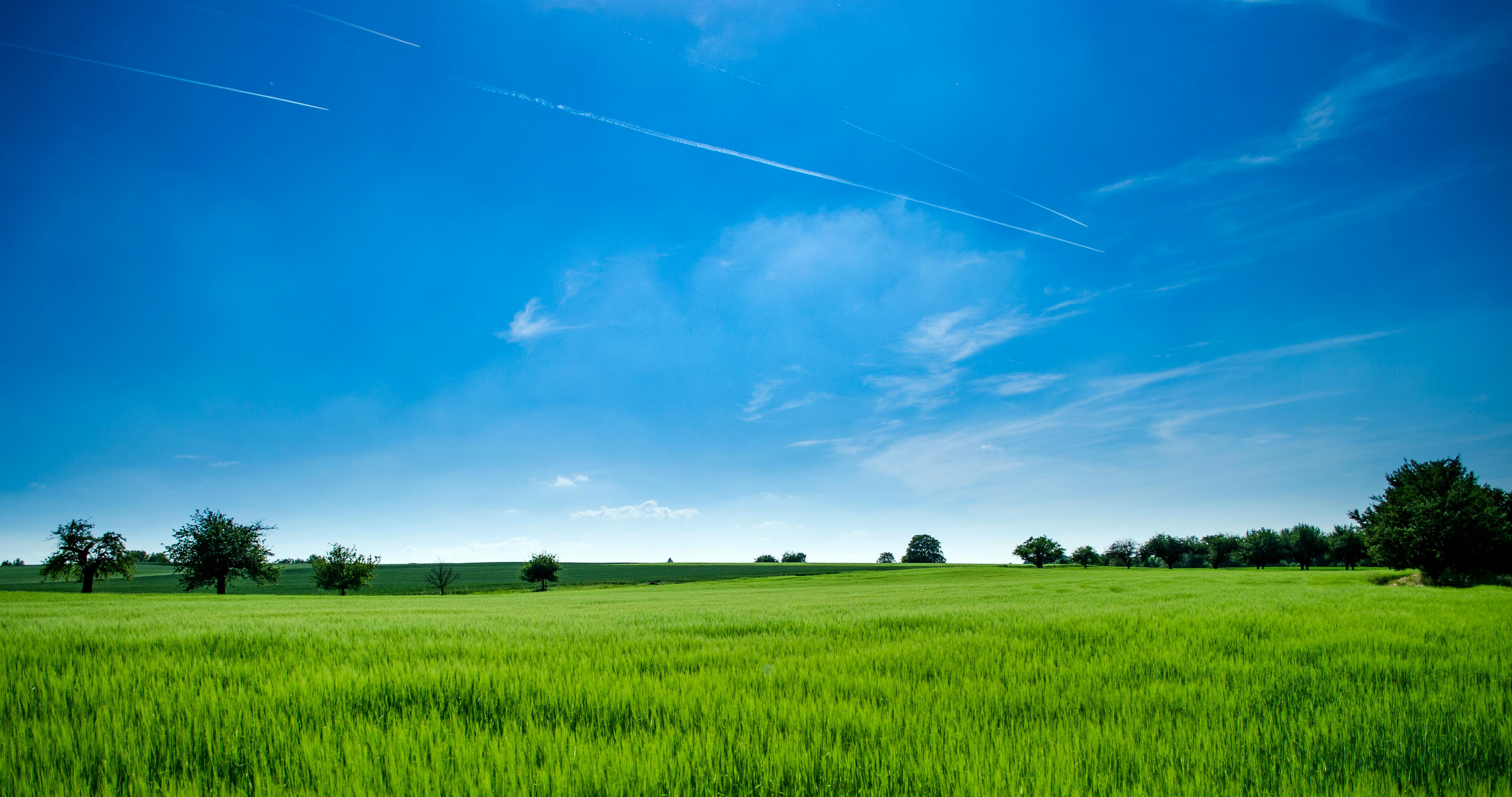 Green Environment